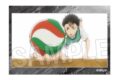 ハイキュー!! スタパネ ミニ vol.8 2
 
2025年10月発売
で取扱中