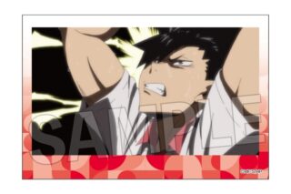 ハイキュー!! 積み積みブロック vol.8 30
 
2025年10月発売
で取扱中