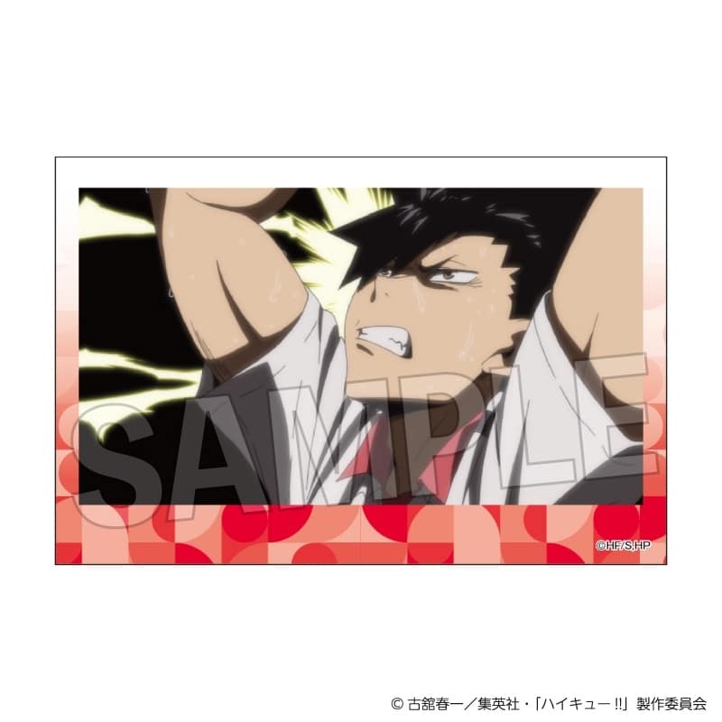 ハイキュー!! 積み積みブロック vol.8 30
 
2025年10月発売
で取扱中