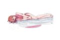 彼女、お借りします (かのかり) BIGアクリルスタンド チャイナver. 桜沢 墨
 
2024年11月発売