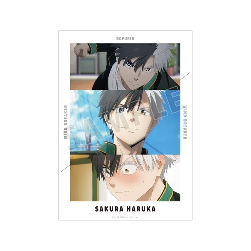 TVアニメ『ウィンドブレイカー (ウィンブレ)』 桜 遥 場面写A3マット加工ポスター【再販】
 
2025年10月27日発売