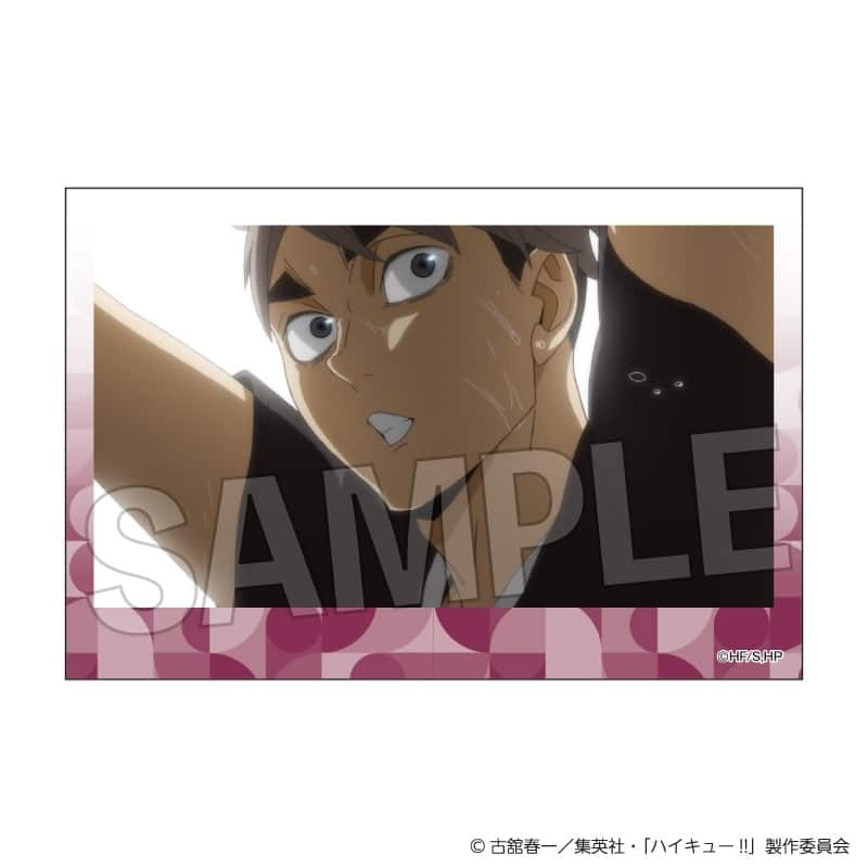 ハイキュー!! 積み積みブロック vol.8 27
 
2025年10月発売
で取扱中