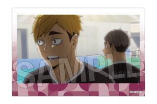 ハイキュー!! 積み積みブロック vol.8 26
 
2025年10月発売
で取扱中