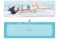 彼女、お借りします (かのかり) 抱き枕カバー チャイナver. 更科瑠夏
 
2024年11月発売