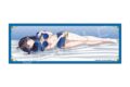 彼女、お借りします (かのかり) 布ポスター チャイナver. 八重森みに
 
2024年11月発売