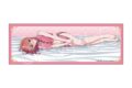 彼女、お借りします (かのかり) 布ポスター チャイナver. 桜沢 墨
 
2024年11月発売