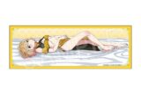 彼女、お借りします (かのかり) 布ポスター チャイナver. 七海麻美
 
2024年11月発売