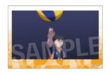 ハイキュー!! 積み積みブロック vol.8 16
 
2025年10月発売
で取扱中