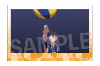 ハイキュー!! 積み積みブロック vol.8 16
 
2025年10月発売
で取扱中