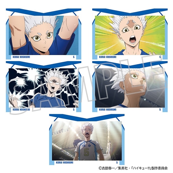 ハイキュー!! ポストカードセット/星海光来
 
2025年9月26日発売