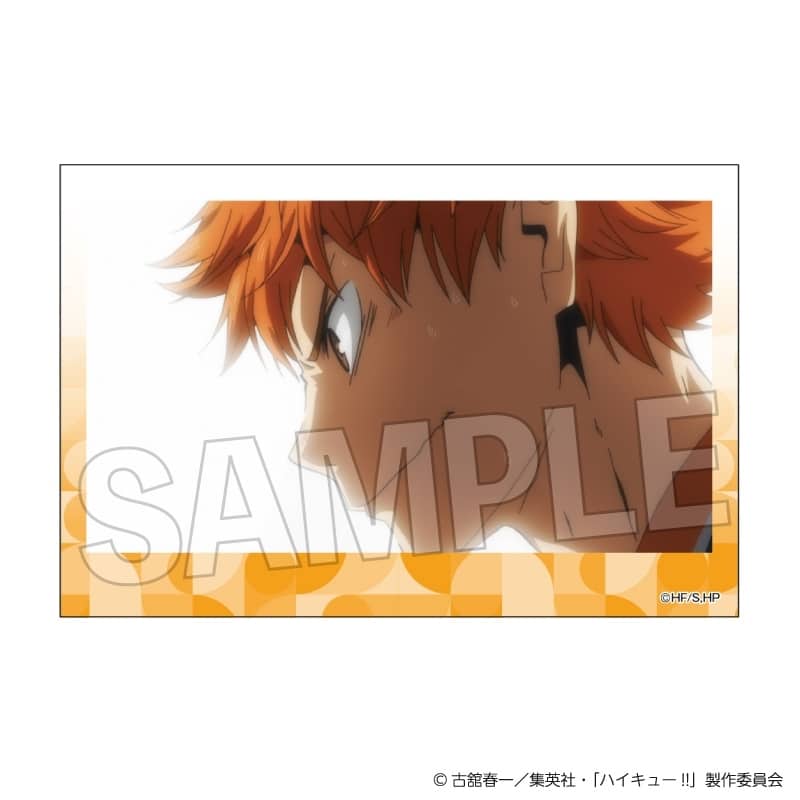 ハイキュー!! 積み積みブロック vol.8 8
 
2025年10月発売
で取扱中