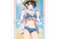 彼女、お借りします (かのかり) arti-mate A3マット加工ポスター 更科瑠夏 描き下ろし 水着ver.[アニメイト限定]
 
2025年2月18日発売