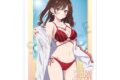 彼女、お借りします (かのかり) arti-mate A3マット加工ポスター 水原千鶴 描き下ろし 水着ver.[アニメイト限定]
 
2025年2月18日発売