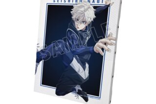 TVアニメ『ブルーロック』 凪 誠士郎 キャラクタービジュアルキャンバスボード【再販】
 
2025年10月17日発売
で取扱中
