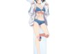 彼女、お借りします (かのかり) arti-mate 特大アクリルスタンド 更科瑠夏 描き下ろし 水着ver.[アニメイト限定]
 
2025年2月18日発売