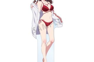 彼女、お借りします (かのかり) arti-mate 特大アクリルスタンド 水原千鶴 描き下ろし 水着ver.[アニメイト限定]
 
2025年2月18日発売