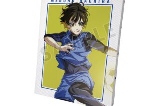 TVアニメ『ブルーロック』 蜂楽 廻 キャラクタービジュアルキャンバスボード【再販】
 
2025年10月17日発売
で取扱中