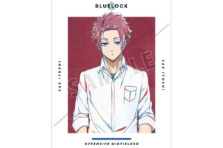 TVアニメ『ブルーロック』 糸師 冴 Ani-Art A3マット加工ポスター【再販】
 
2025年10月17日発売
で取扱中