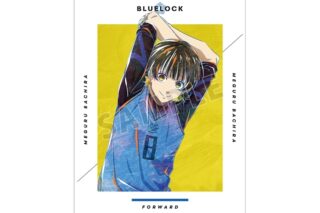TVアニメ『ブルーロック』 蜂楽 廻 Ani-Art A3マット加工ポスター【再販】
 
2025年10月17日発売
で取扱中