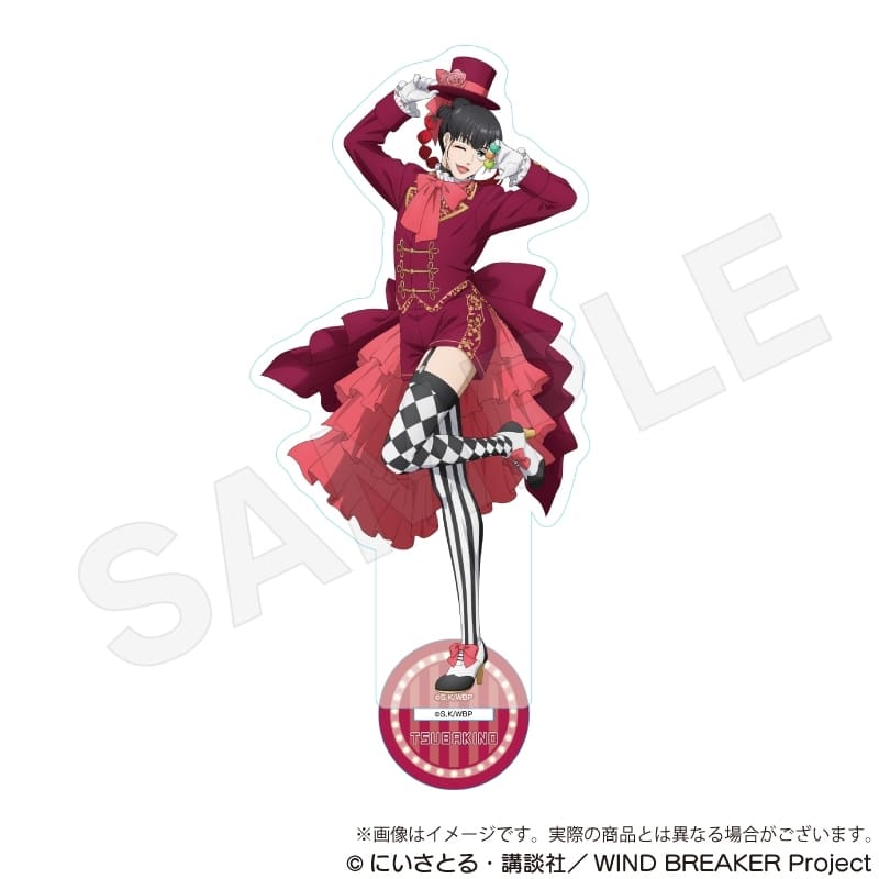 ウィンドブレイカー (ウィンブレ) アクリルスタンド マジシャンver. 椿野佑
 
2025年10月発売