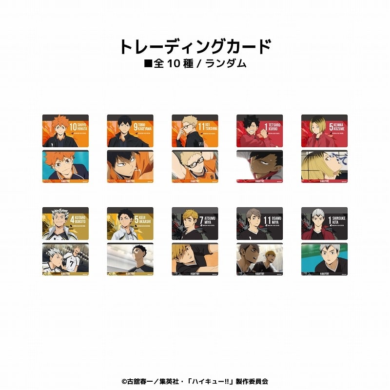 アニメハイキュー!! トレーディングカード BOX
 
2024年11月下旬発売