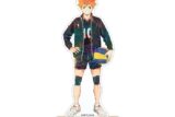 【ポイント還元(5%)】ハイキュー!! 日向翔陽 Ani-Art 第5弾 BIGアクリルスタンド【再販】
 
2025年1月17日発売