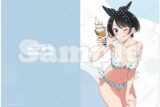 彼女、お借りします (かのかり)第3期 【描き下ろし】クリアファイル 更科瑠夏(水着)
 
2024年10月発売