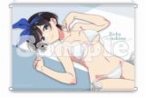 彼女、お借りします (かのかり)第3期 【描き下ろし】B2タペストリー 更科瑠夏(水着寝そべり)
 
2024年09月発売