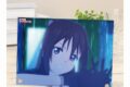 ラブライブ! ニジガク Solitude Rain 場面写A5アクリルパネル
 
2025年11月7日発売