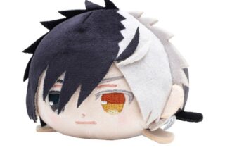 ウィンドブレイカー (ウィンブレ) ゆめころね ぬいぐるみ 桜遥     ホビーストックで2025年1月発売