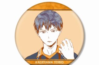 【ポイント還元(5%)】ハイキュー!! 影山飛雄 Ani-Art 第1弾 BIG缶バッジ
 
2024年12月発売
で取扱中
