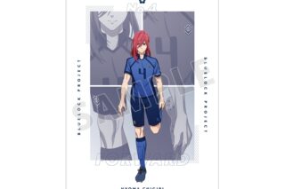 TVアニメ『ブルーロック』 描き下ろしイラスト 千切 豹馬 試合前の準備中ver. A3マット加工ポスター【再販】
 
2025年10月17日発売
で取扱中