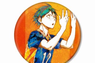 【ポイント還元(5%)】ハイキュー!! 山口忠 Ani-Art 第2弾 BIG缶バッジ
 
2024年06月発売