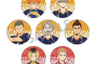 ハイキュー!! トレーディンググリッター缶バッジ vol.1
 
2024年02月下旬発売
で取扱中