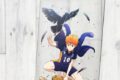 ハイキュー!! 日向翔陽 アクリルアートスタンド Ver.1.0
 
2024年03月発売