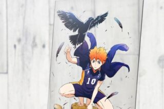 ハイキュー!! 日向翔陽 アクリルアートスタンド Ver.1.0
 
2024年03月発売