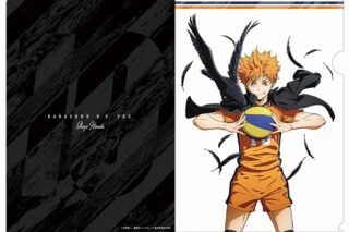ハイキュー!! 日向翔陽 クリアファイル Ver.3.0
 
2023年12月中旬発売
で取扱中