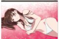 彼女、お借りします (かのかり) B2タペストリーC[水原千鶴]
 
2024年08月発売