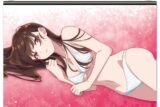 彼女、お借りします (かのかり) B2タペストリーC[水原千鶴]
 
2024年08月発売