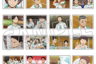 ハイキュー!! カスタムマグネットコレクション/青葉城西高校　2個入り　全16種
 アニメイトで
2025年10月24日発売