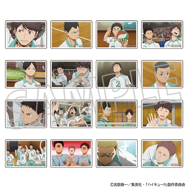 ハイキュー!! カスタムマグネットコレクション/青葉城西高校　2個入り　全16種
 アニメイトで
2025年10月24日発売