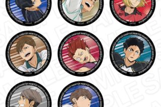 アニメハイキュー!! オーロラカンバッジ B
 
2025年10月発売
で取扱中