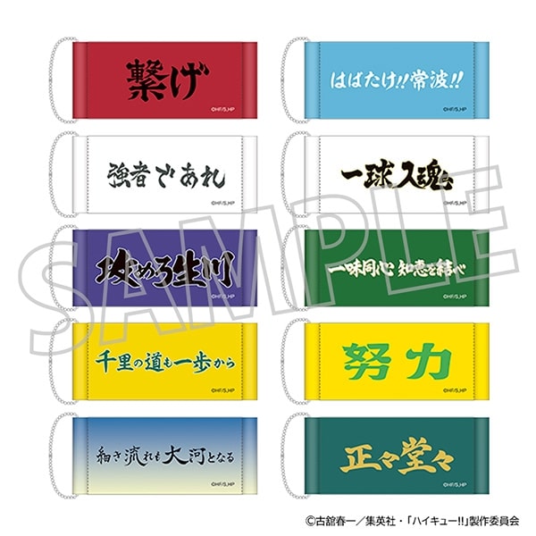 ハイキュー!! ミニタペストリーコレクション/vol.2
 アニメイトで
2025年10月24日発売