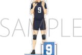 ハイキュー!! アクリルスタンド 影山飛雄 みんなの背番号!
 
2025年10月4日発売