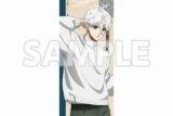[アニメイト]ブルーロック in エゴイスティックモール フェイスタオル 凪誠士郎
 
2025年05月下旬発売