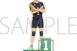 ハイキュー!! アクリルスタンド 澤村大地 みんなの背番号!
 
2025年10月4日発売