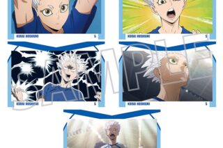 ハイキュー!! ポストカードセット/星海光来
 アニメイトで
2025年9月26日発売