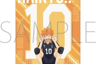 ハイキュー!! クリアファイル 日向翔陽 みんなの背番号!
 
2025年10月4日発売