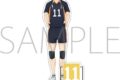 ハイキュー!! アクリルスタンド 月島蛍 みんなの背番号!
 
2025年10月4日発売