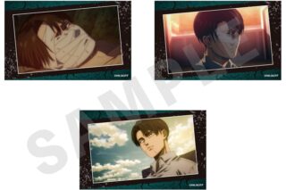 TVアニメ『進撃の巨人』 ビジュアルカード3枚セットB(リヴァイ1)
 
2025年10月発売
で取扱中